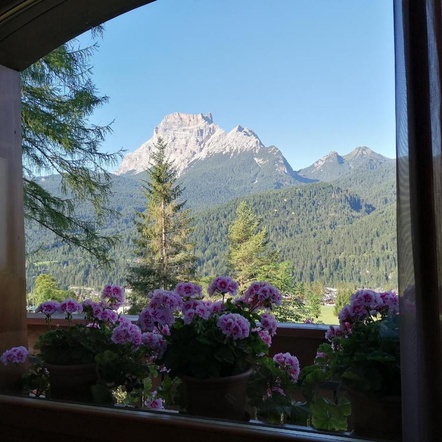 Hotel Il Cardo San Vito di Cadore Exterior photo