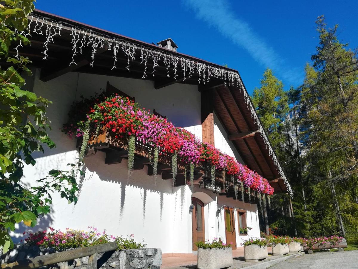 Hotel Il Cardo San Vito di Cadore Exterior photo